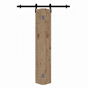 Folding Barn Door With Black Rail