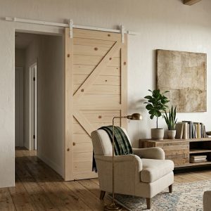 K Brace Barn Door With White Rail 2